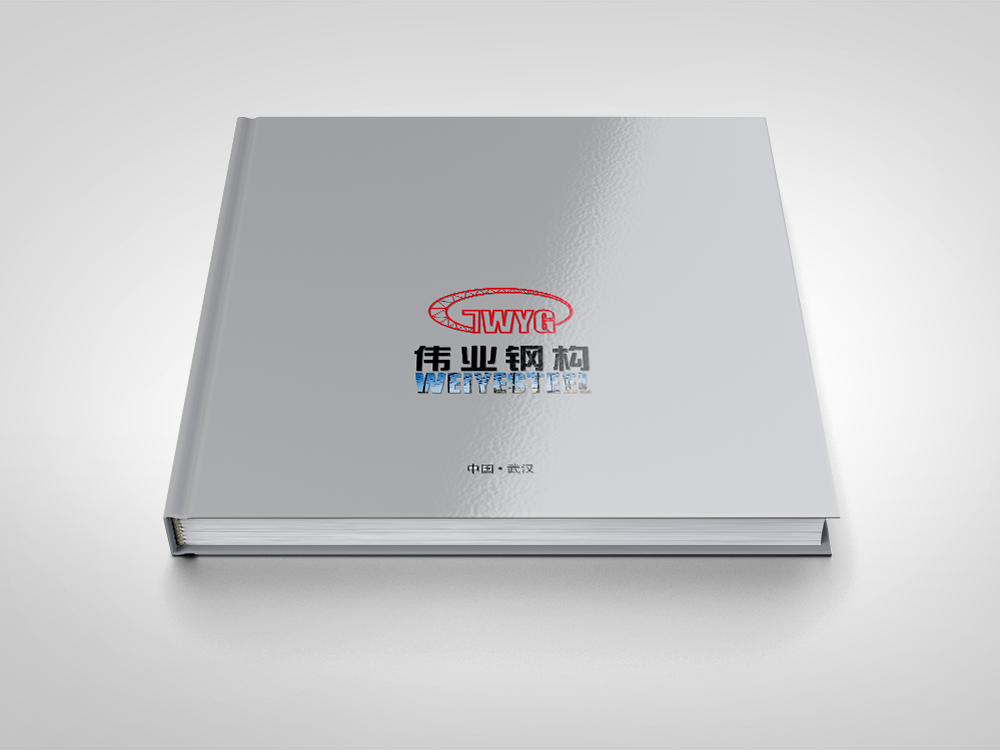 偉業(yè)鋼構(gòu)畫冊設(shè)計