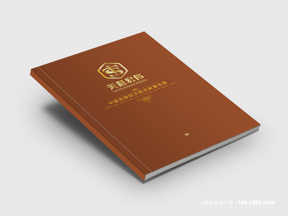 武漢天晟宏偉科技畫冊(cè)