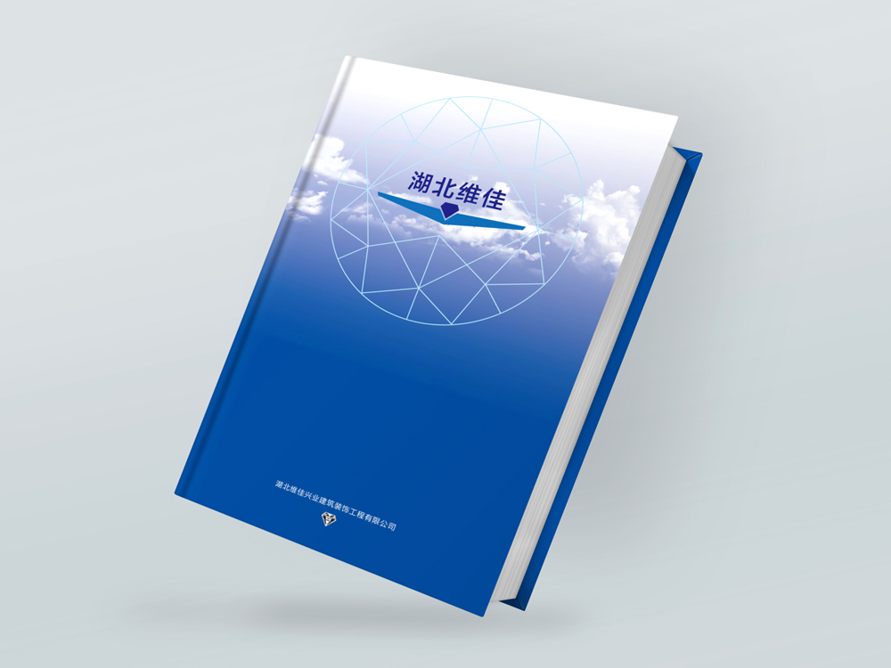 維佳興業(yè)畫冊設(shè)計(jì)