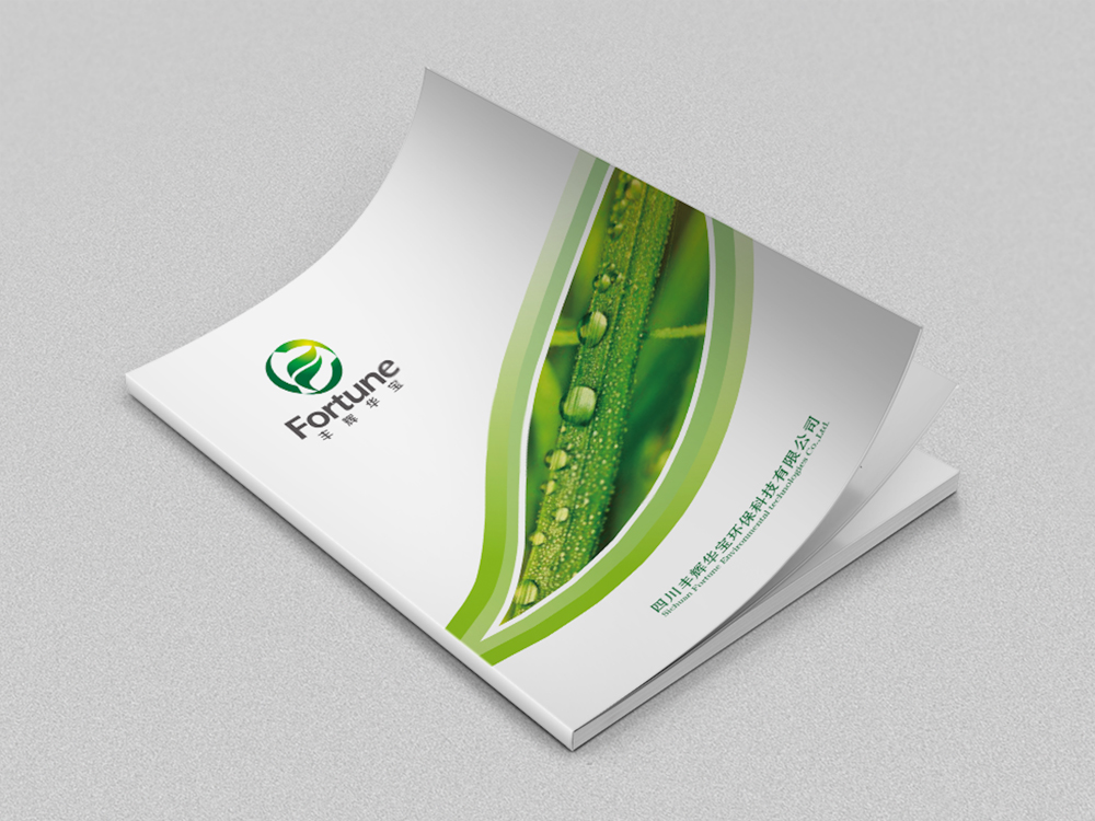 豐輝華寶畫冊設(shè)計(jì)